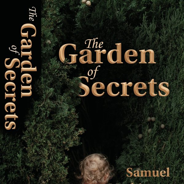 book cover ver 1 1